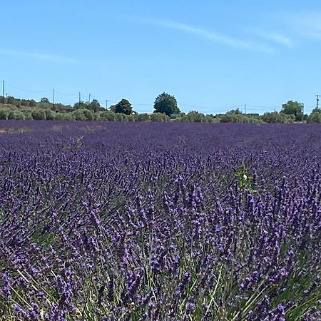 Gite Cocotte Luberon, Forcalquier Pierrerue  Exterior foto